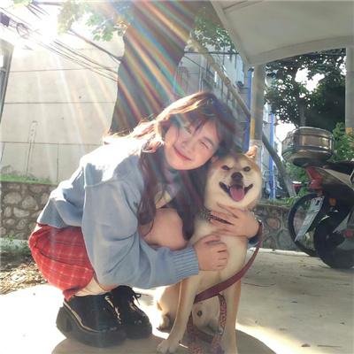 好莱坞医生