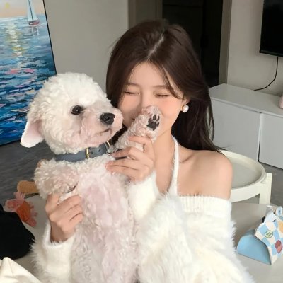 挎斗摩托车里的狗